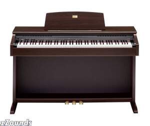 Casio AP45 88-Key Digit...