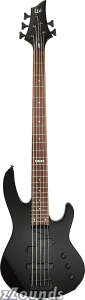 ESP LTD B55 5-String Electric Bass