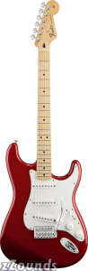 Fender Standard Stratocaster Electric Guitar (Maple, with Gig Bag)