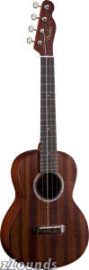 Fender Pa