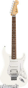 Fender Standard Stratocaster HSS Electric Guitar with Floyd Rose (Rosewood, with Gig Bag)