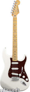 Fender Deluxe Roadhouse Stratocaster Electric Guitar (With Gig Bag)