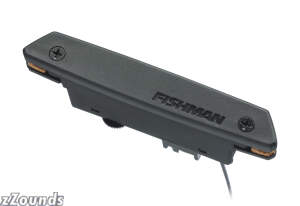Fishman Rare Earth Acoustic Guitar Pickup