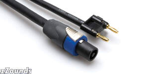 Hosa SKTBN 12-Gauge Speakon to Banana Cable