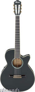 Ibanez AEG10NE Classical Cutaway Acoustic-Electric Guitar
