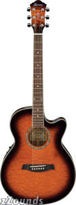 Ibanez AEG25E Acoustic-Electric Guitar
