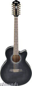 Ibanez AEL2012E 12-String Acoustic-Electric Guitar