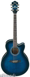 Ibanez AEL20E AEL Cutaway Acoustic-Electric Guitar