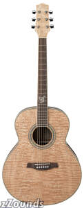 Ibanez EW20AS Exotic Wood Acoustic Guitar