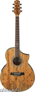 Ibanez EW20SGE Exotic Wood Acoustic-Electric Guitar