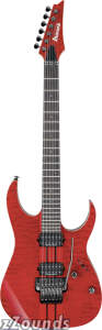 Ibanez RGT320X Prestige Electric Guitar (with Case)