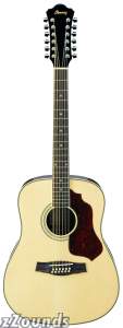 Ibanez SGT122 Sage Series 12-String Acoustic Guitar