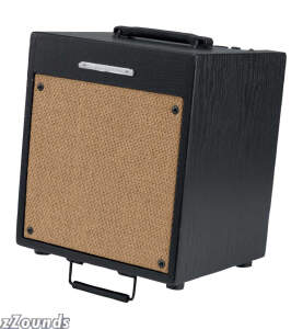 Ibanez T35 Troubadour Acoustic Guitar Amplifier (35 Watts, 1x10 in.)
