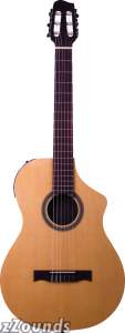 Line 6 Variax 300 Acoustic Nylon Acoustic-Electric Guitar