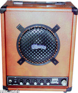 Pignose HOG30 Recharging Portable Battery-Powered Guitar Combo Amplifier (30 Watts, 1x8 in.)