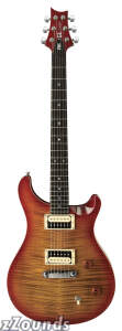 Paul Reed Smith SE Custom Electric Guitar (with Gig Bag)