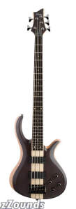 Schecter RIOT-5 5-String Electric Bass