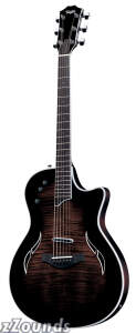 Taylor T5 Thinline Fiveway Standard Maple Cutaway Acoustic-Electric Guitar (with Case)