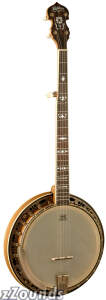 Washburn B120 5-String Banjo (with Case)