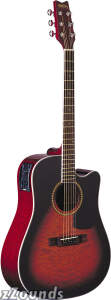 Washburn D10CEQ Dreadnought Cutaway Acoustic-Electric Guitar (with Case)