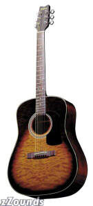Washburn D10Q Dreadnought Acoustic Guitar (with Case)