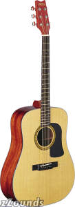 Washburn D10S Dreadnought Acoustic Guitar (With Case)