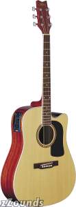Washburn D10SCE Dreadnought Cutaway Acoustic-Electric Guitar (with Case)