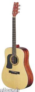 Washburn D10SLH Left-Handed Dreadnought Acoustic Guitar (with Case)