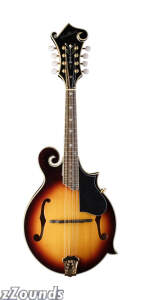 Washburn M3SW F-Style Solid Wood Mandolin (With Case)