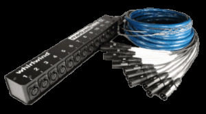 Whirlwind Mini12 12-Channel Drop Snake