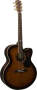 Alvarez PJ311CDVS Professional Jumbo Cutaway Acoustic-Electric Guitar