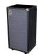 Ampeg SVT210AV Micro Bass Cabinet (200 Watts, 2x10 in.)