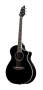 Breedlove C25CM Atlas Series Stage Black Magic Concert Acoustic-Electric Guitar (with Case)