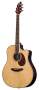 Breedlove D25SME American Series Dreadnought Acoustic-Electric Guitar (with Case)