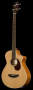 Breedlove B350 Passport Plus Acoustic-Electric Bass (with Gig Bag)