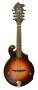 Breedlove Quartz FF Mandolin (with Case)