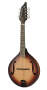 Breedlove Quartz OF Mandolin (with Case)