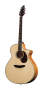 Breedlove J350EF Atlas Series Stage Jumbo Acoustic-Electric Guitar (with Case)