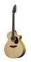 Breedlove J350EF12 Atlas Series Stage 12-String Jumbo Acoustic-Electric Guitar (with Case)