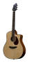 Breedlove D25SM Atlas Series Studio Dreadnought Acoustic-Electric Guitar (with Gig Bag)