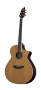 Breedlove J350CR Atlas Series Studio Jumbo Acoustic-Electric Guitar (with Gig Bag)