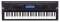 Casio WK500 76-Key Electronic Keyboard