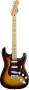Fender Deluxe Roadhouse Stratocaster Electric Guitar (With Gig Bag)