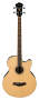 Ibanez AEB5E Acoustic-Electric Bass