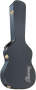 Ibanez AEG10C Hardshell Case for AEG Series Acoustic Guitars