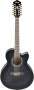Ibanez AEL2012E 12-String Acoustic-Electric Guitar