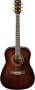 Ibanez AW30 Artwood Acoustic Guitar