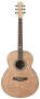 Ibanez EW20AS Exotic Wood Acoustic Guitar