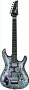 Ibanez JSBDG Joe Satriani Limited Edition Black Dog Electric Guitar - with Case