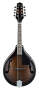 Ibanez M510 A-Style Mandolin